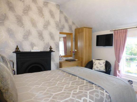 Bryn Derwen Guest House كونوي الغرفة الصورة